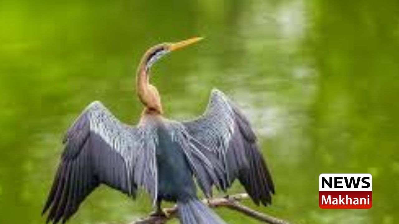 Mera Pani Meri Virasat (2)