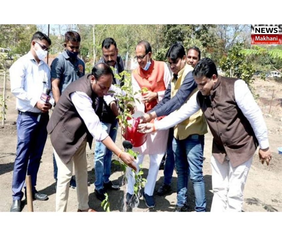 Untitled design - 2022-02-26T180856.700