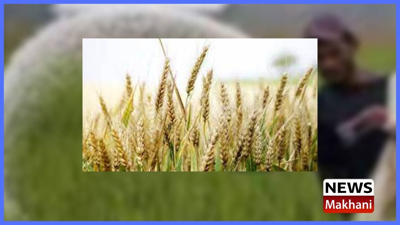 Untitled design - 2022-03-22T181208.480