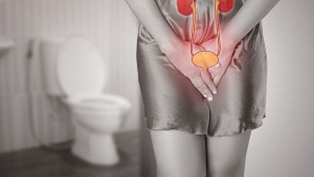 jpg_20220301_192929_0000