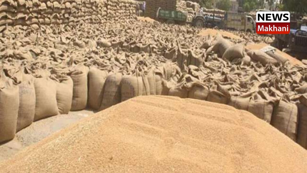 पहली अप्रैल से होगा गेहूं की फसल खरीद का कार्य शुरू पहली अप्रैल से होगा गेहूं की फसल खरीद का कार्य शुरू