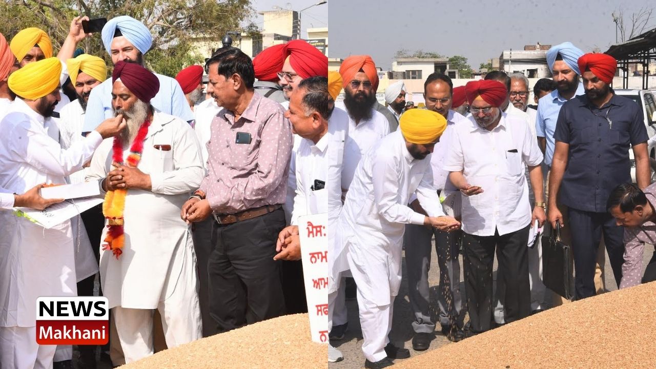 Grain Market Khanna Grain Market Khanna