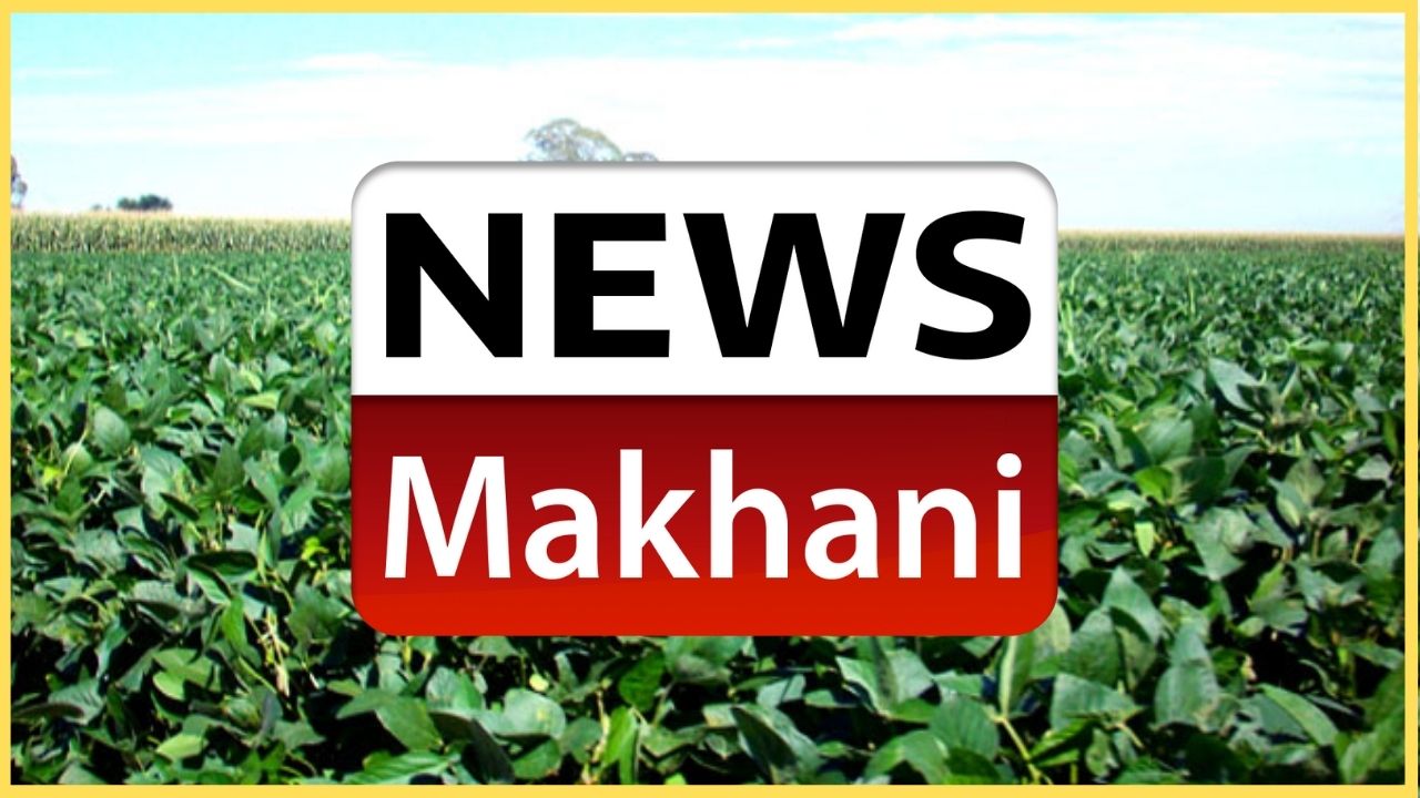 Untitled design - 2022-04-12T151948.956