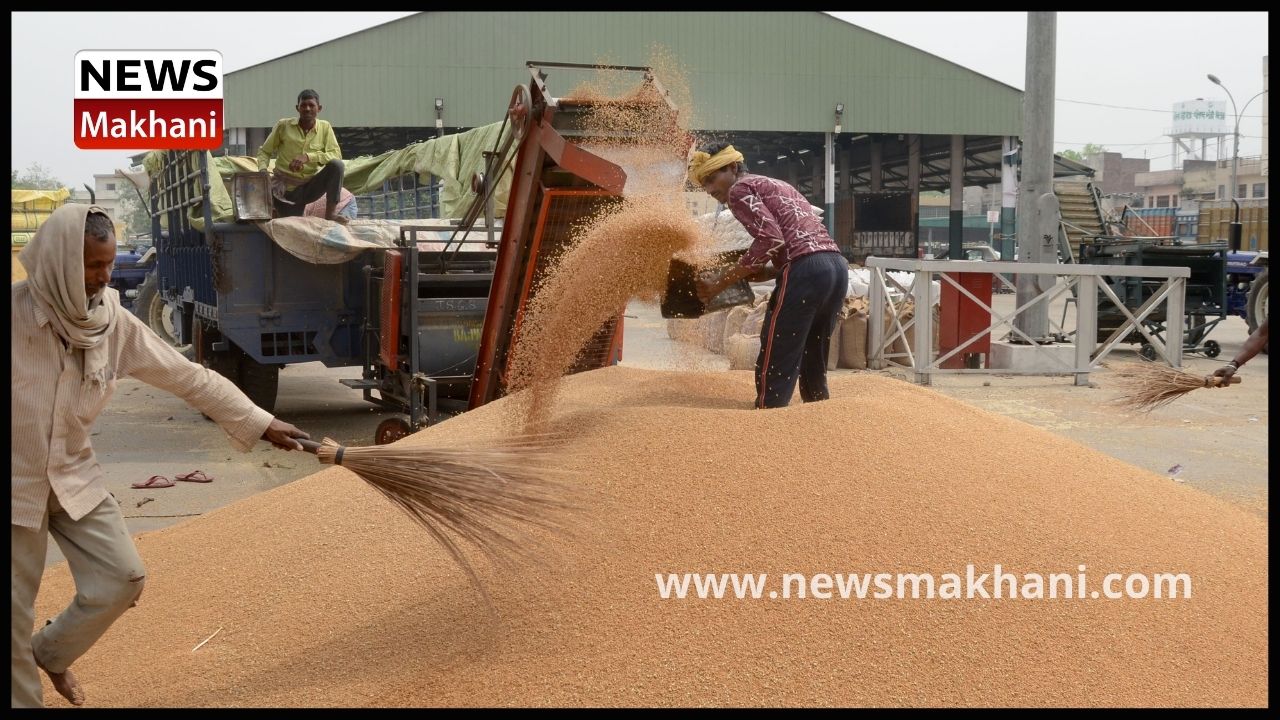 Untitled design - 2022-04-13T113127.895