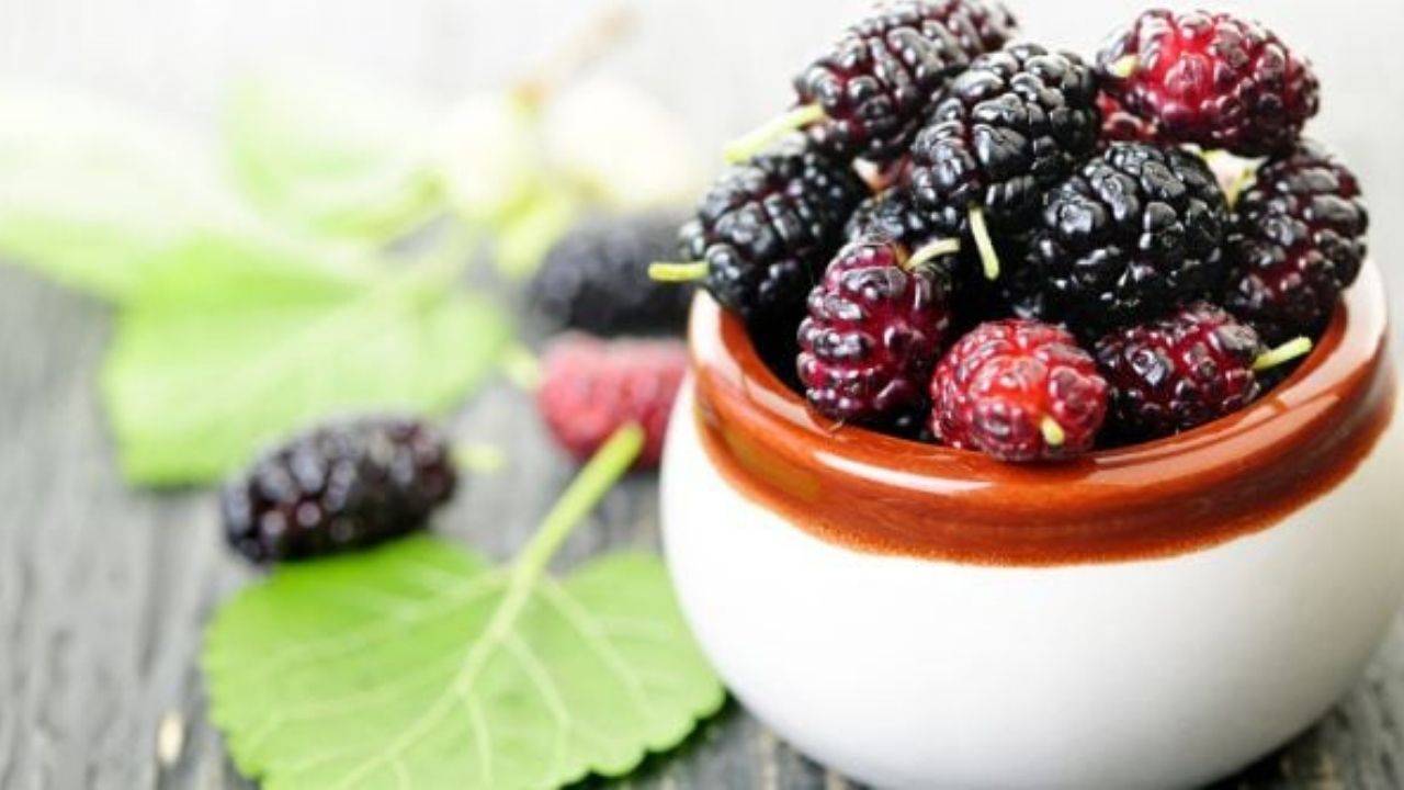 jpg_20220427_225628_0000