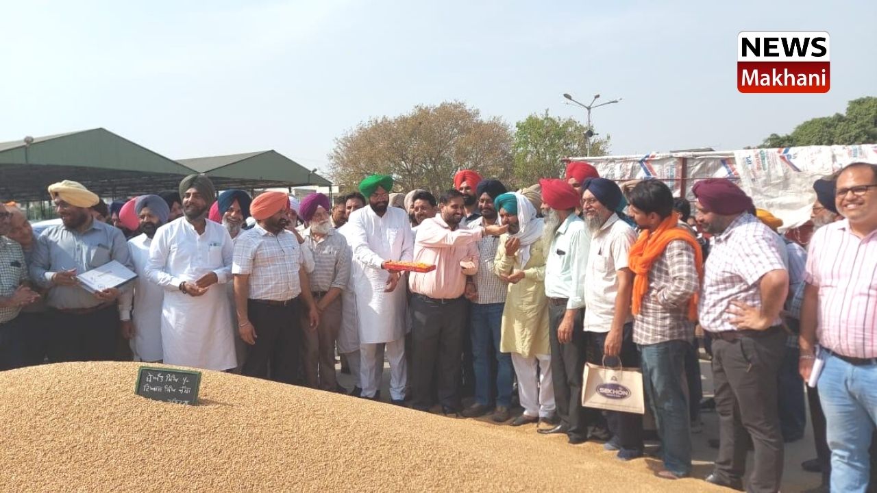 ਕਣਕ ਦੀ ਖਰੀਦ ਲਈ ਰਾਜ ਸਰਕਾਰ ਵੱਲੋਂ ਪੁਖਤਾ ਪ੍ਬੰਧ - ਧਾਲੀਵਾਲ ਕਣਕ ਦੀ ਖਰੀਦ ਲਈ ਰਾਜ ਸਰਕਾਰ ਵੱਲੋਂ ਪੁਖਤਾ ਪ੍ਬੰਧ - ਧਾਲੀਵਾਲ