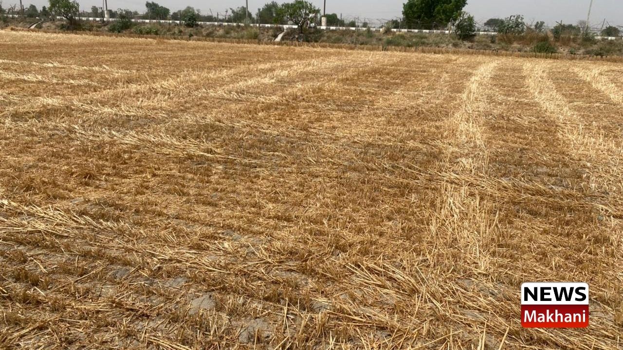 ਕਿਸਾਨਾਂ ਨੂੰ ਕਣਕ ਦੇ ਨਾੜ ਨੂੰ ਅੱਗ ਨਾ ਲਗਾਉਣ ਦੀ ਅਪੀਲ ਕਿਸਾਨਾਂ ਨੂੰ ਕਣਕ ਦੇ ਨਾੜ ਨੂੰ ਅੱਗ ਨਾ ਲਗਾਉਣ ਦੀ ਅਪੀਲ
