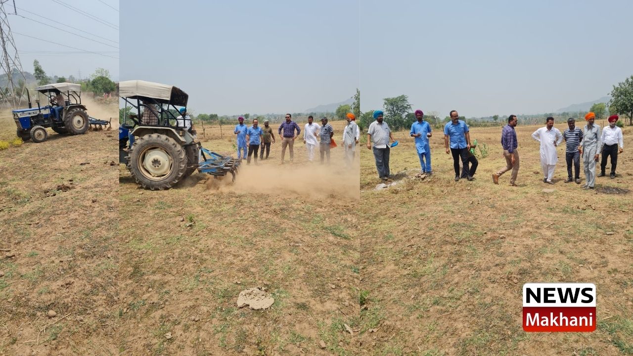 Illegal occupation of 8 acres of Panchayat land Illegal occupation of 8 acres of Panchayat land