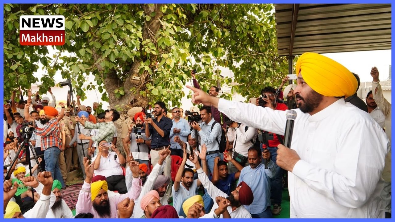 Untitled design - 2022-05-04T152738.675