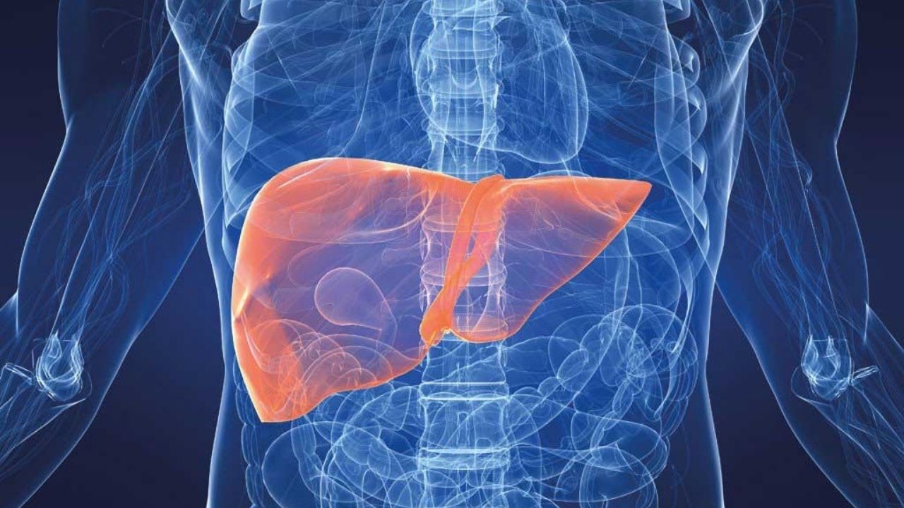 jpg_20220519_195604_0000