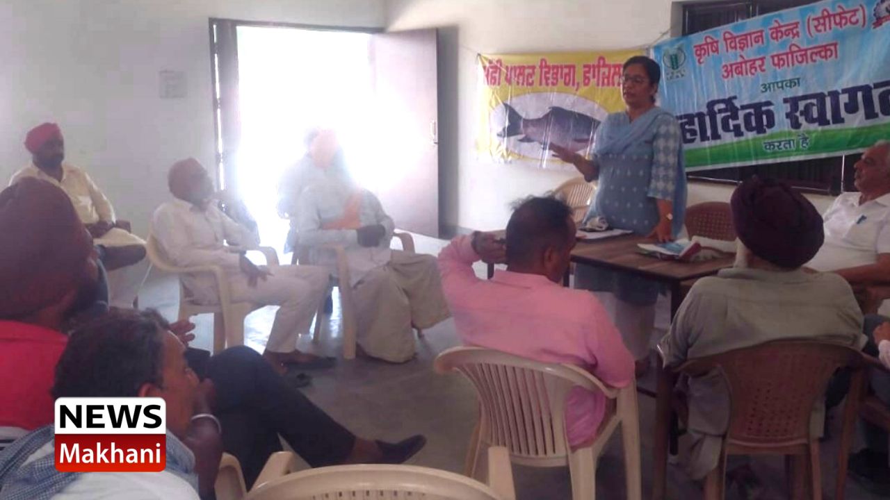 Untitled design - 2022-06-03T140409.586