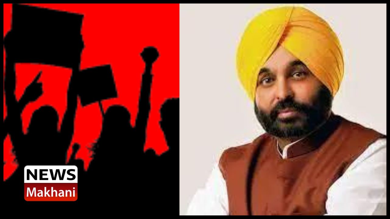 Untitled design - 2022-06-08T184548.241