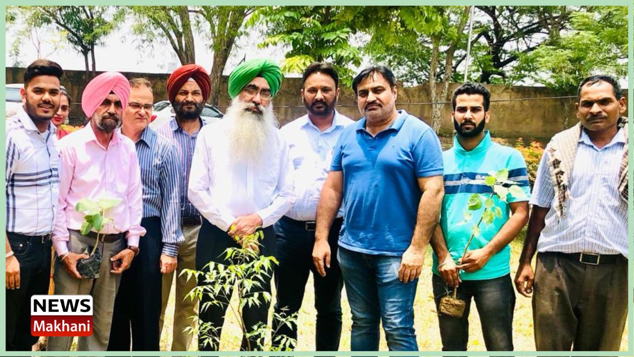 Untitled design - 2022-06-21T164411.571