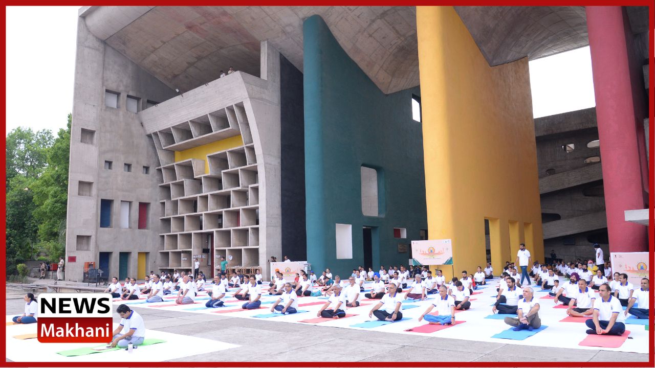 Untitled design - 2022-06-21T174816.645