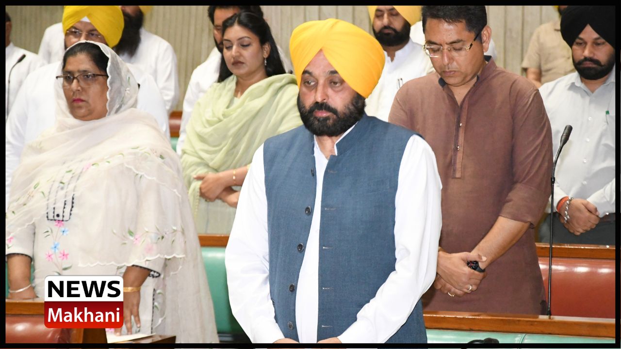 Untitled design - 2022-06-24T183824.497