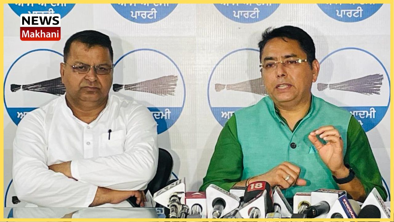 Untitled design - 2022-06-28T115633.582