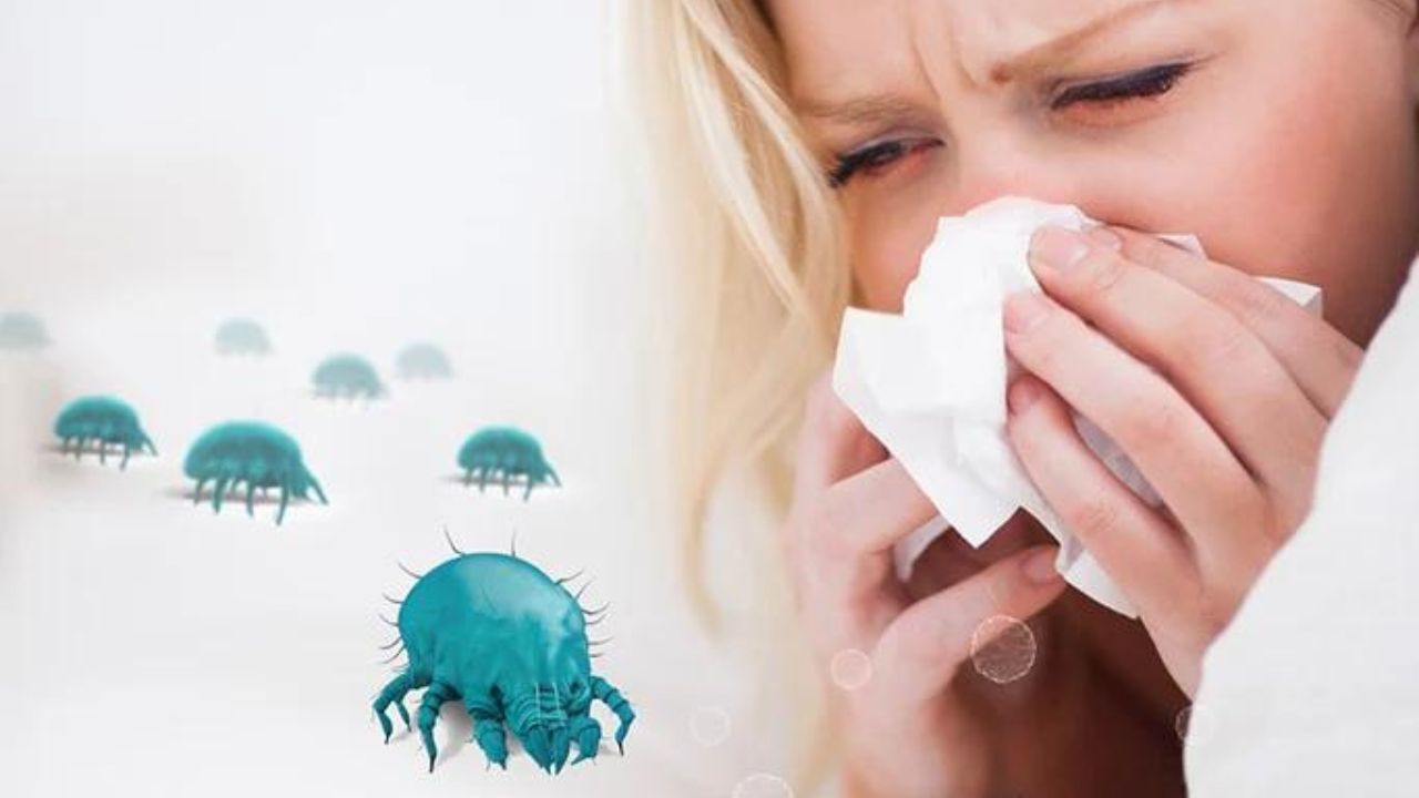 Untitled design (90)