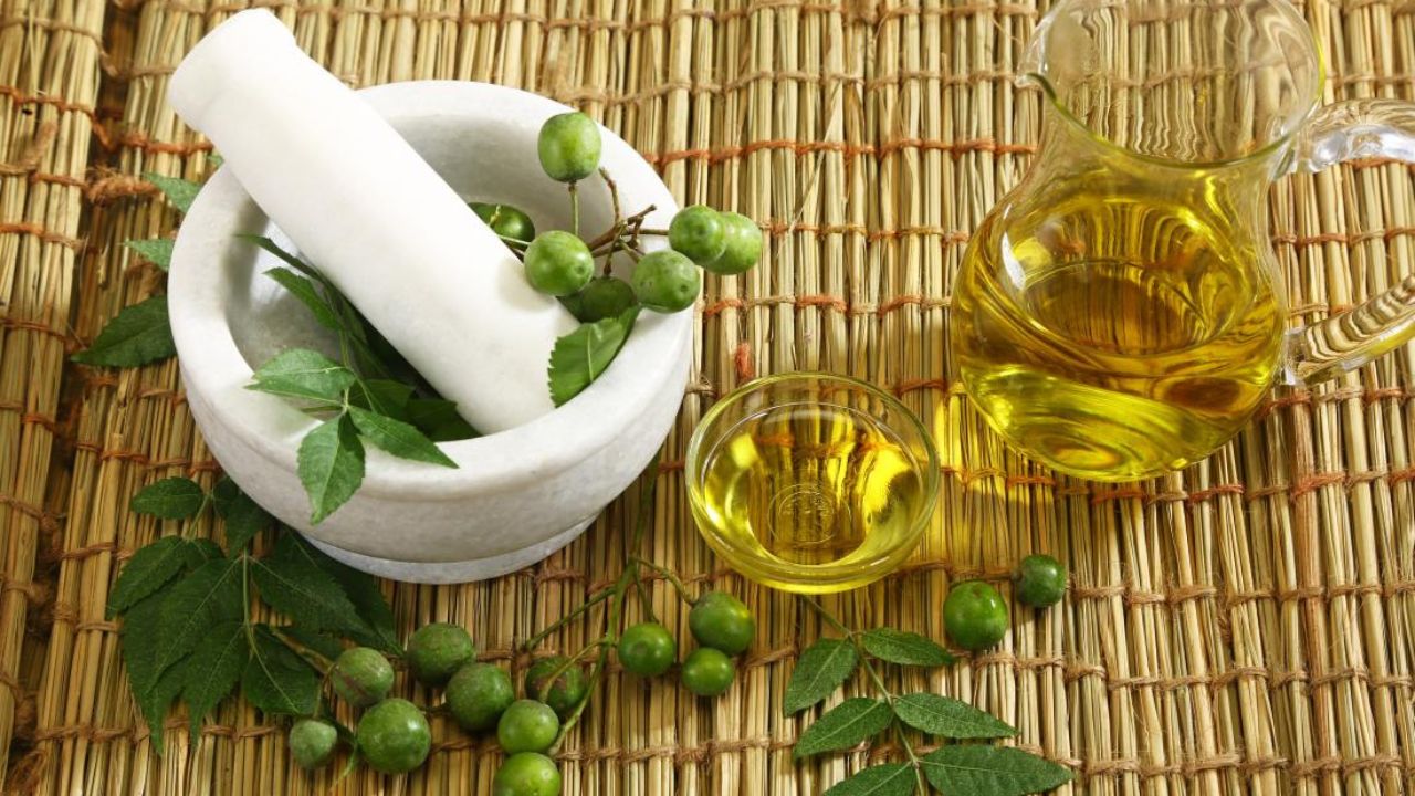 Dengue gets cure by using these Ayurvedic herbs