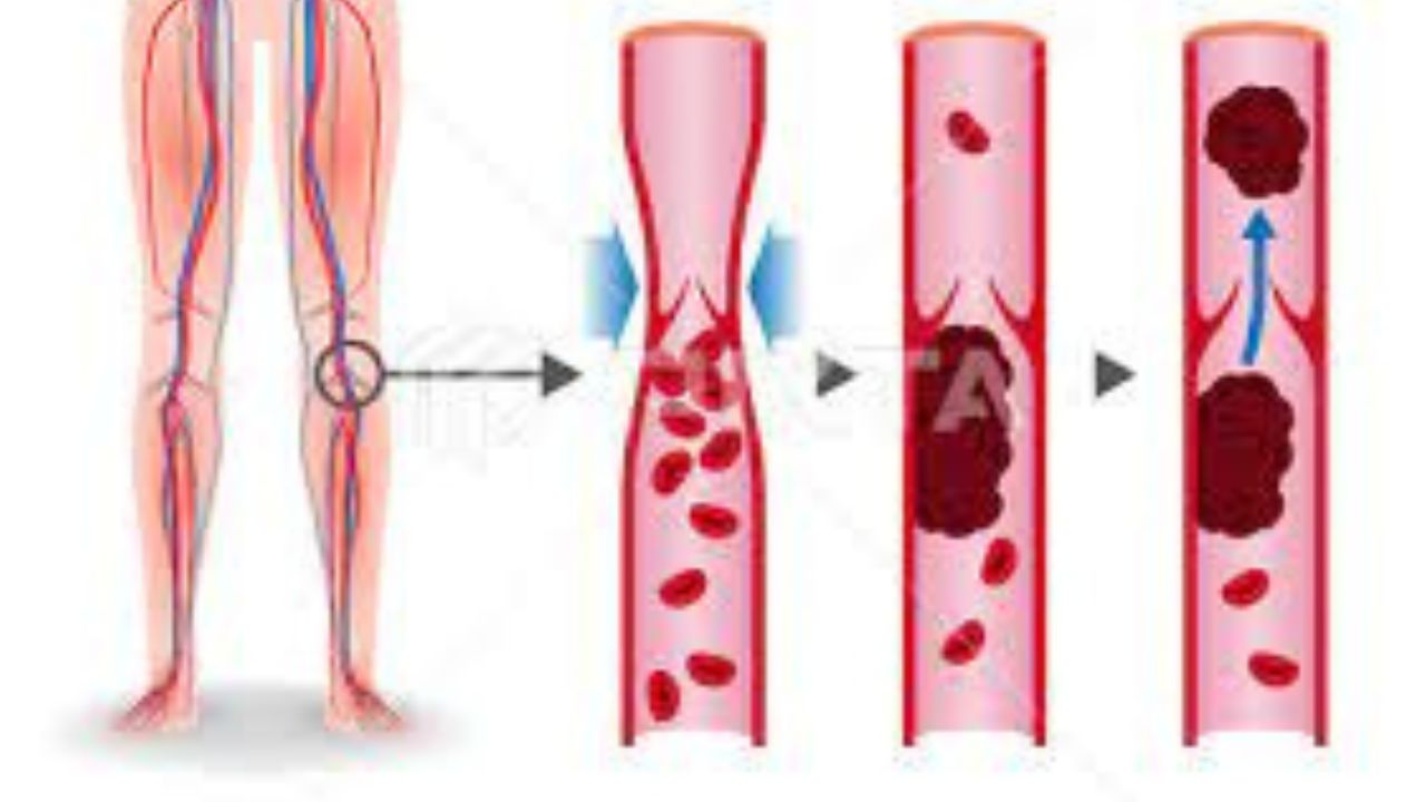 Untitled design (17)