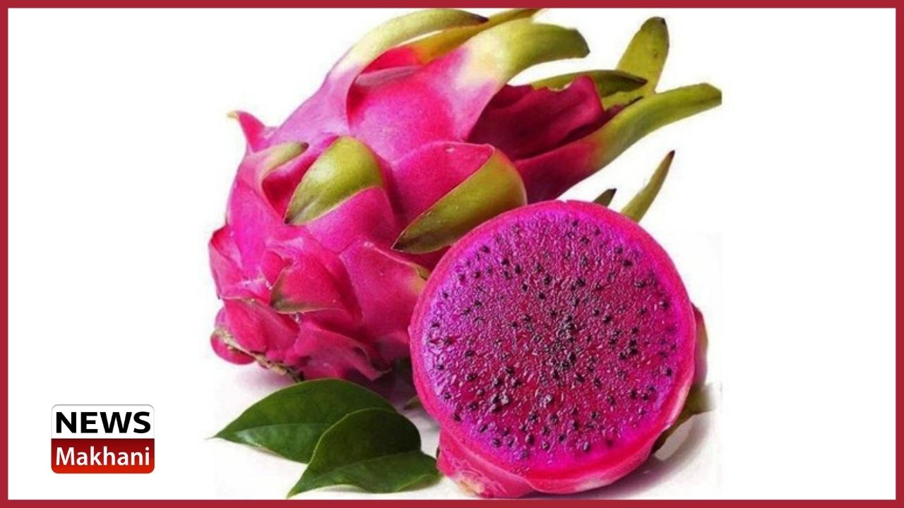 Untitled design - 2022-07-06T164707.365