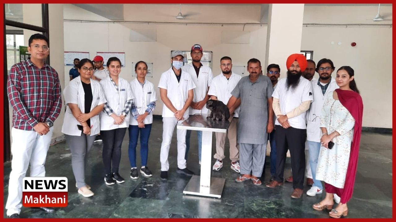 Untitled design - 2022-07-06T172525.208