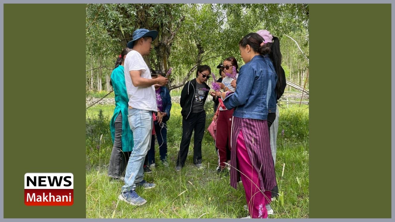 Untitled design - 2022-07-07T112737.126