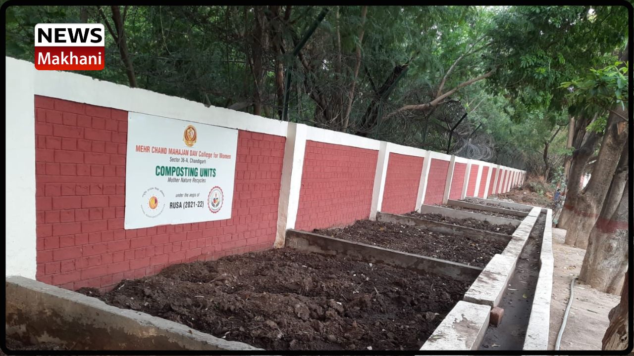 Untitled design - 2022-07-14T133131.468