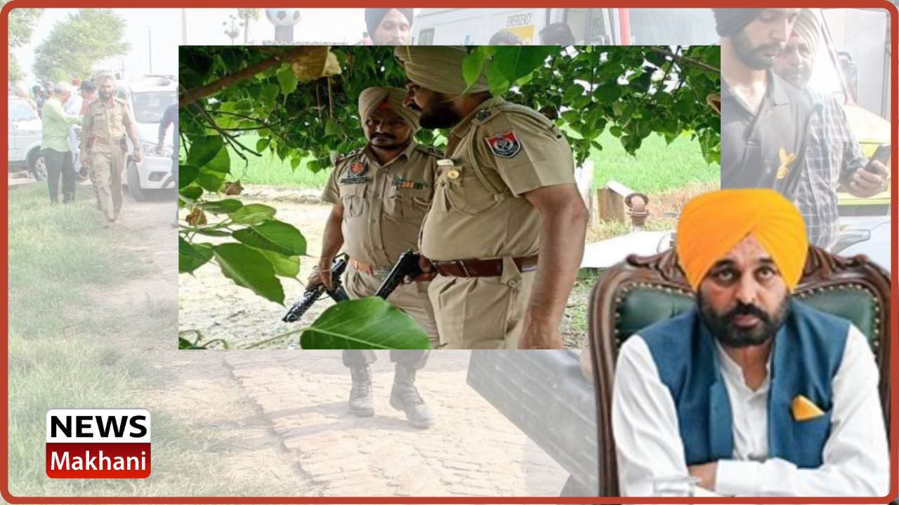 Untitled design - 2022-07-21T141909.314