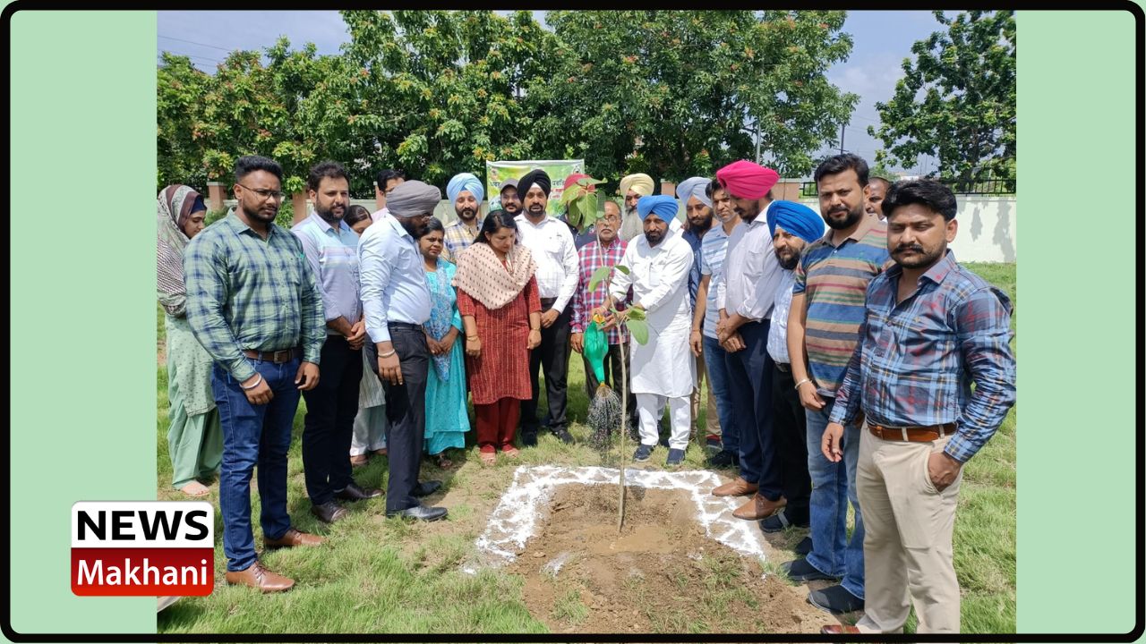 Untitled design - 2022-07-25T173206.589