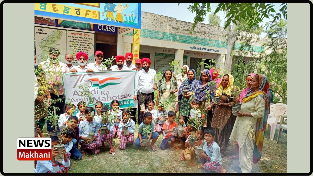 Untitled design - 2022-07-26T162647.617