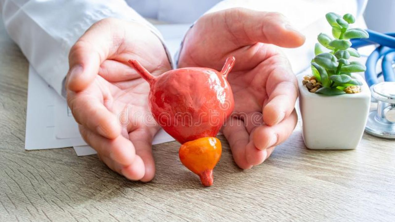 Untitled design (23)