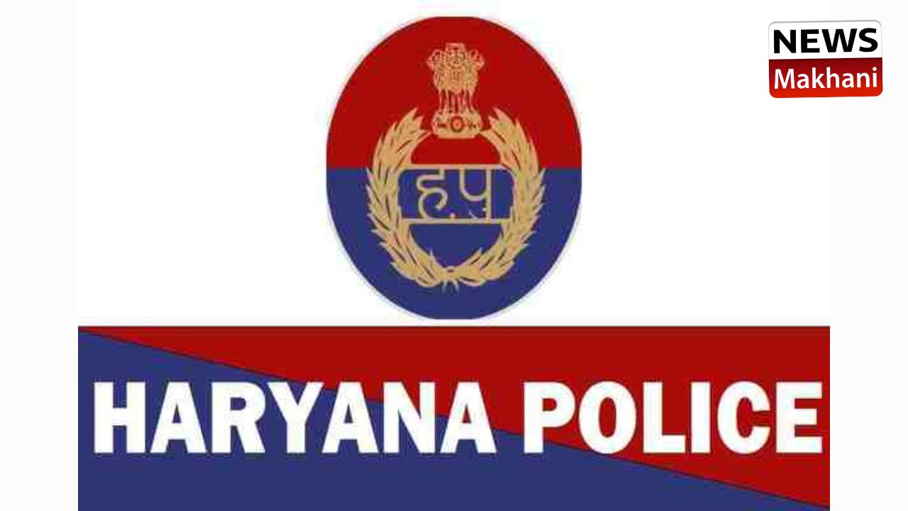 Untitled design (14)