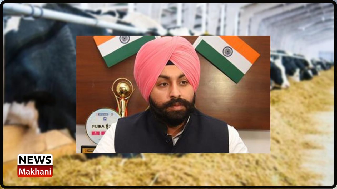 Untitled design - 2022-08-02T122951.175