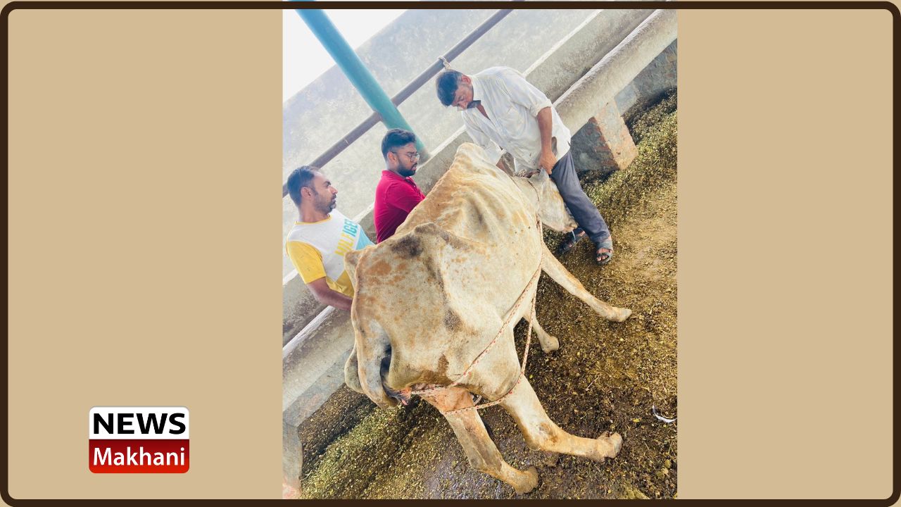 Untitled design - 2022-08-06T160606.827