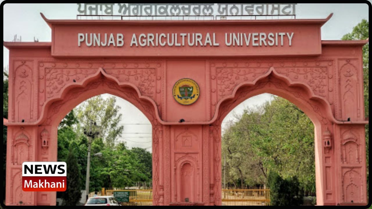 Untitled design - 2022-08-08T171603.788