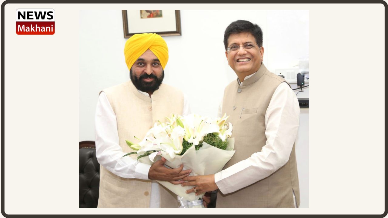 Untitled design - 2022-08-09T105838.471