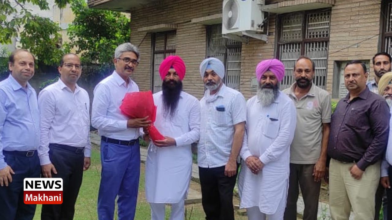 Untitled design - 2022-08-09T122149.551