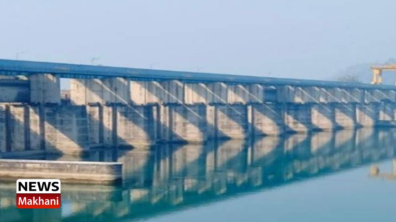 Untitled design - 2022-08-18T161830.397