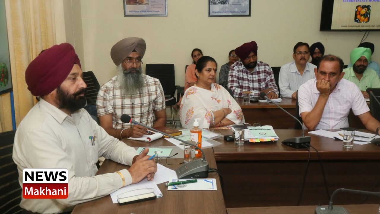 Untitled design - 2022-08-19T113651.117