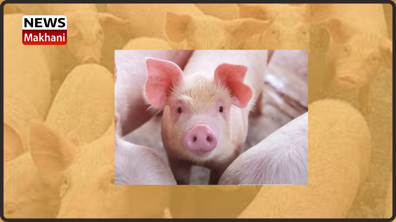 Untitled design (22)