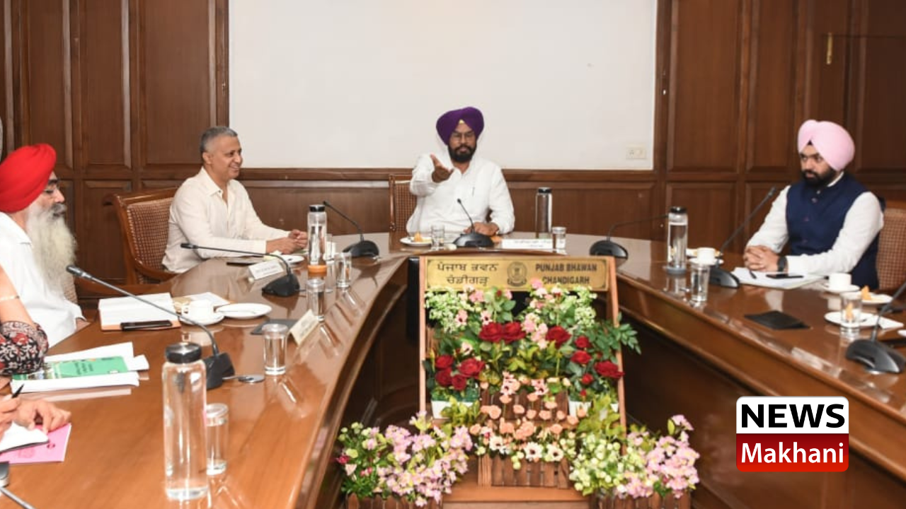 Untitled design (25)