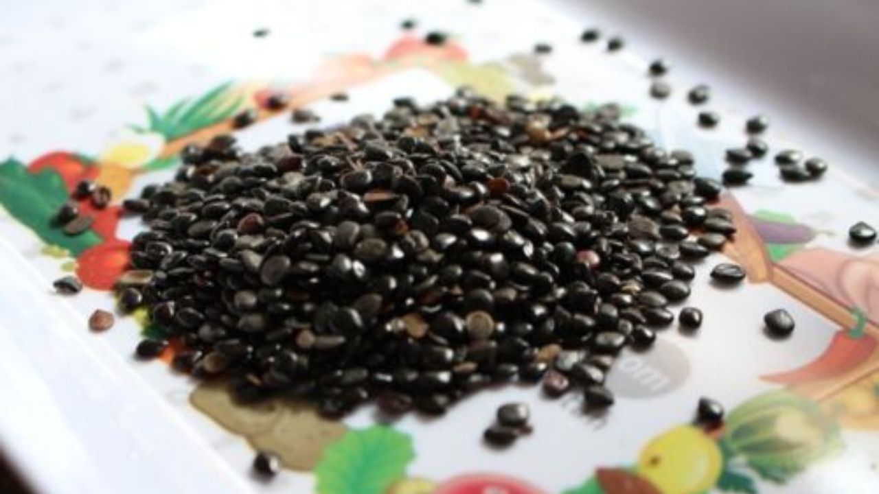 Untitled design (31)