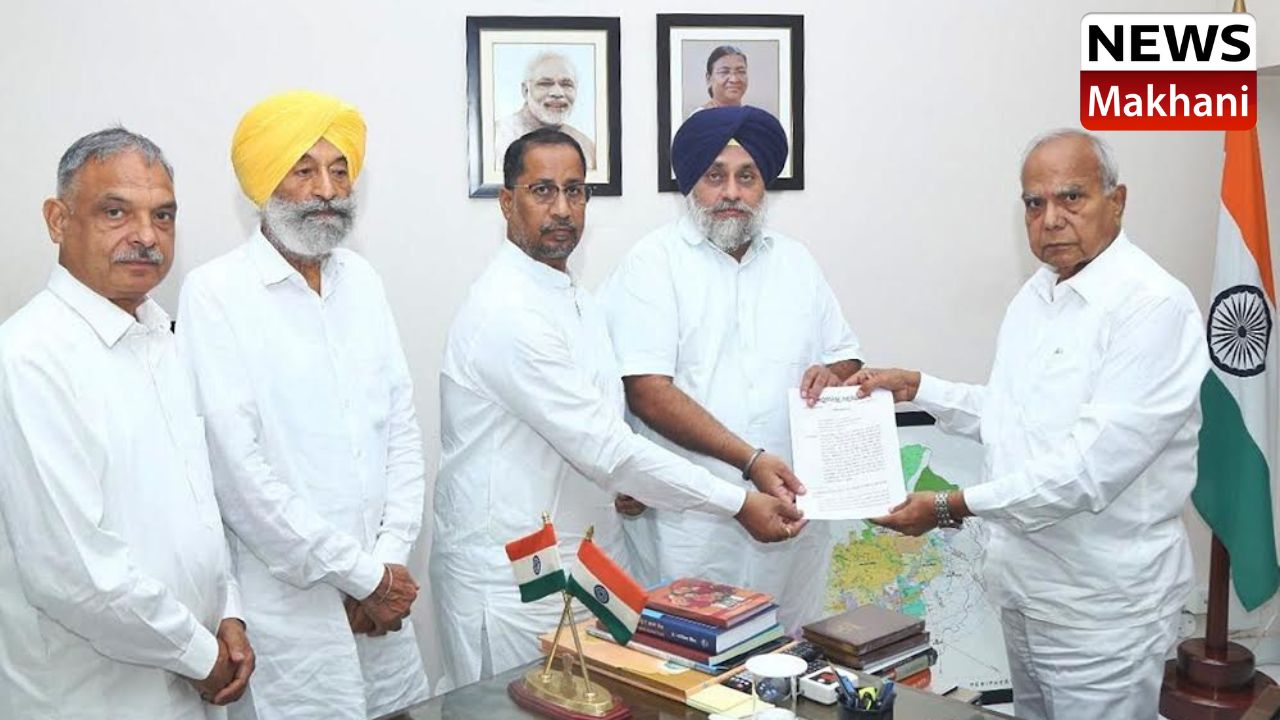 Untitled design (37)