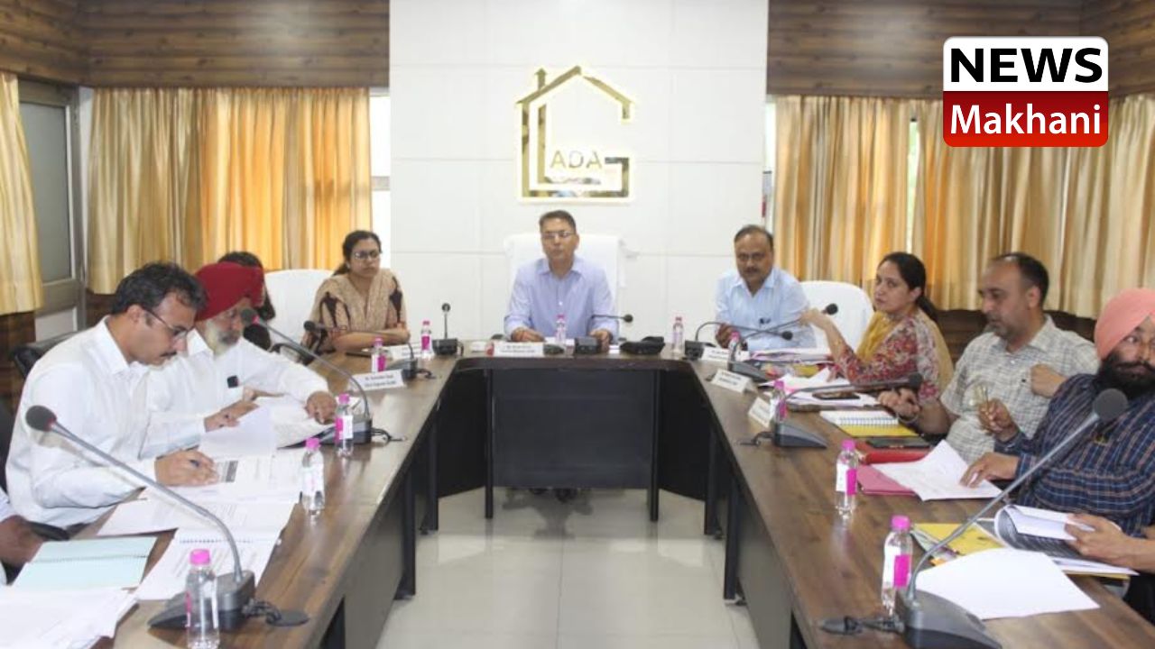 Untitled design (41)