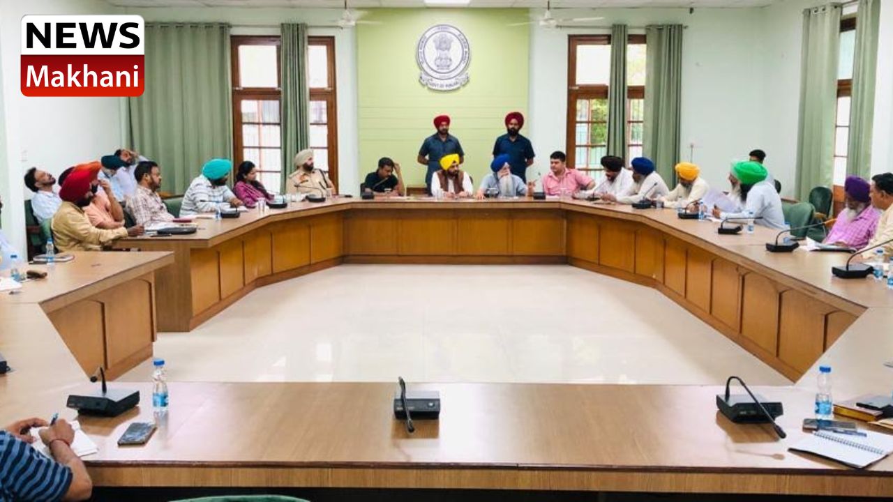 Untitled design (13)