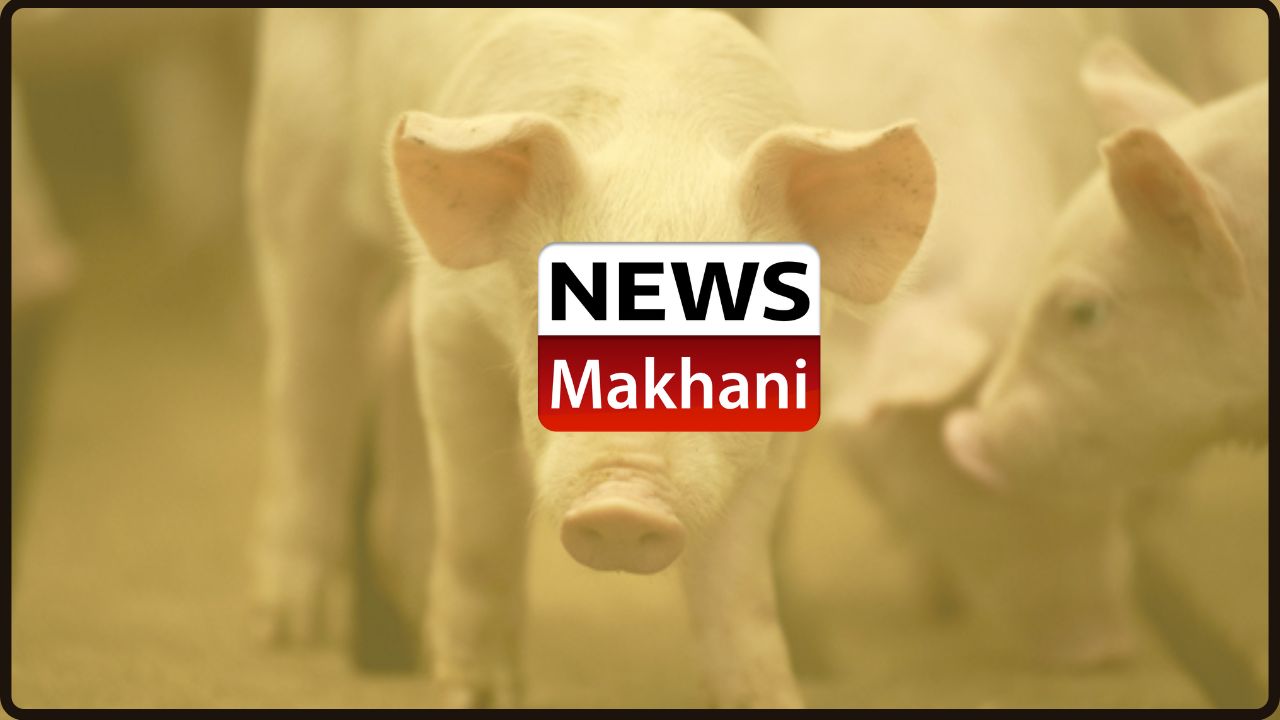 Untitled design - 2022-09-01T145538.573