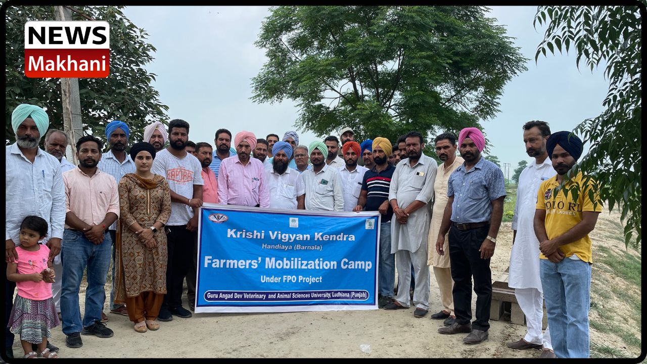 Untitled design - 2022-09-06T115053.379