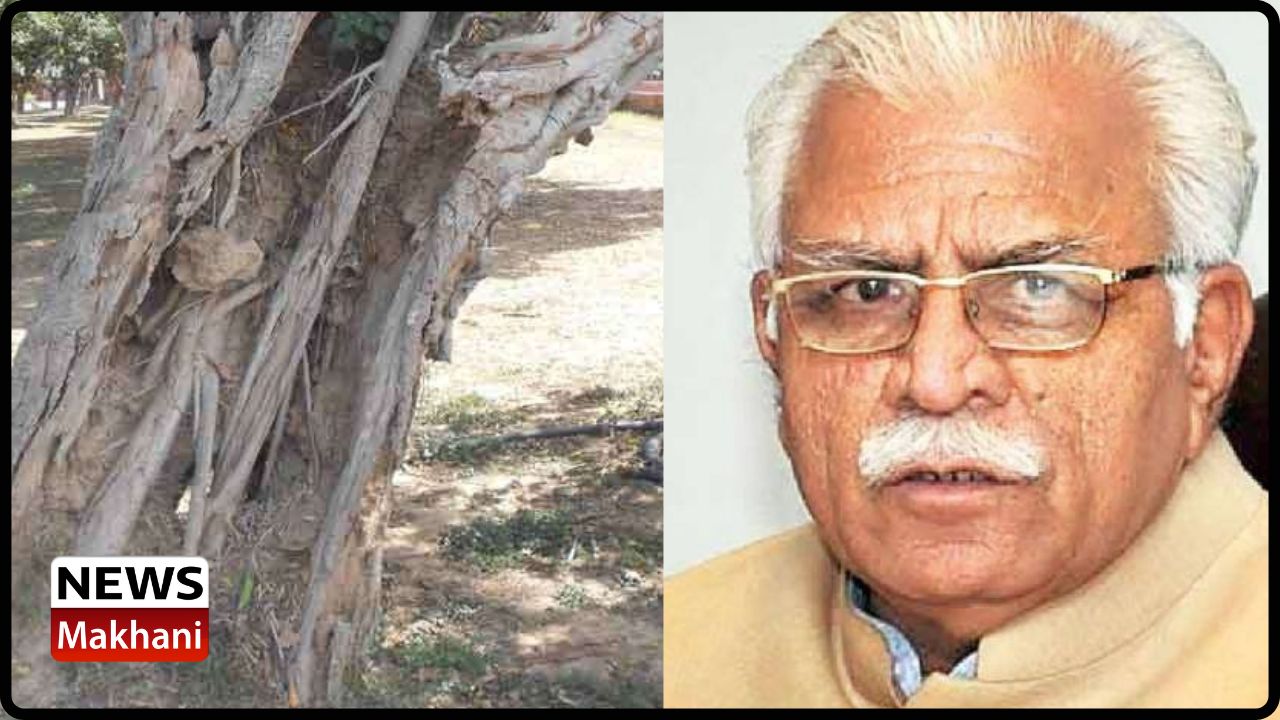 Untitled design - 2022-09-09T191341.557