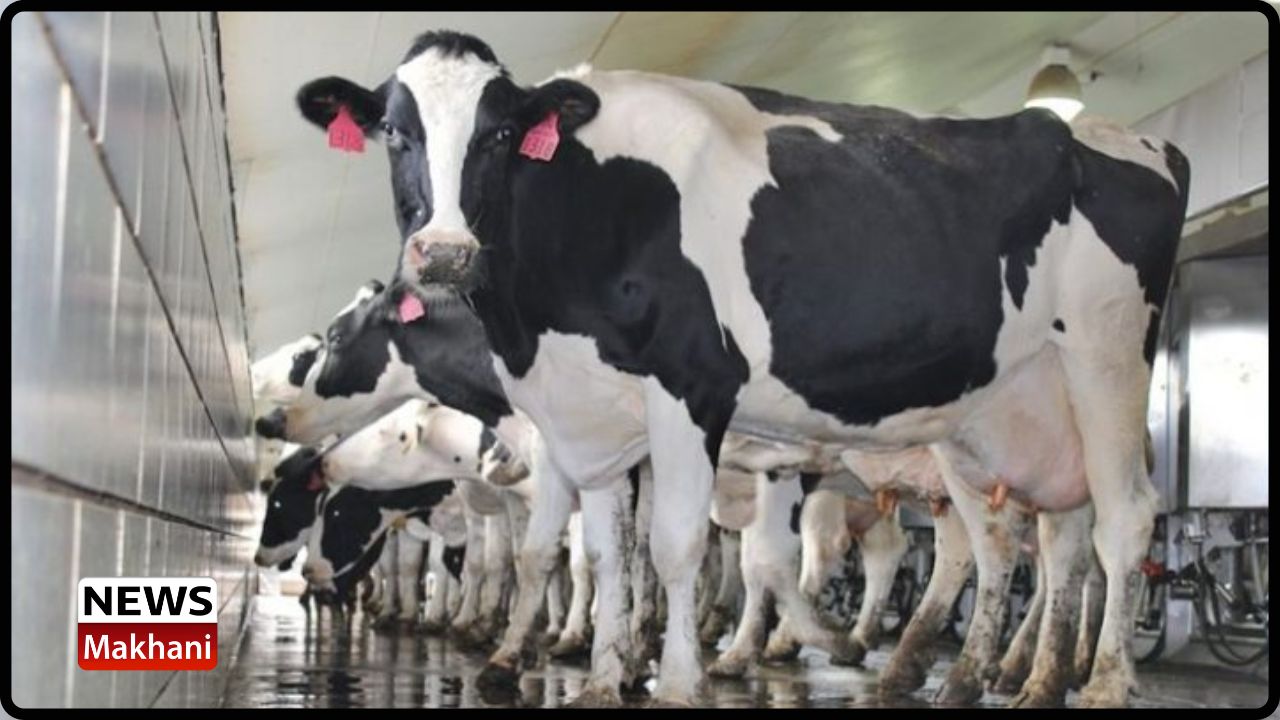 Untitled design - 2022-09-14T160951.446