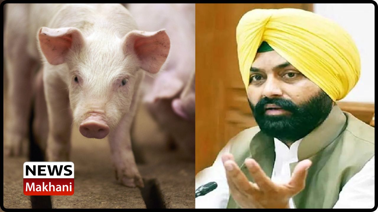 Untitled design - 2022-09-15T161736.991